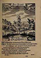  no thumbnail available