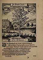  no thumbnail available