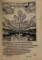  no thumbnail available