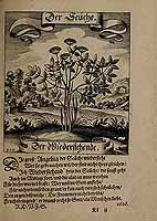  no thumbnail available