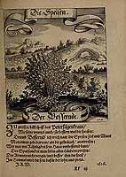  no thumbnail available