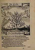  no thumbnail available