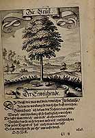  no thumbnail available