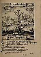  no thumbnail available