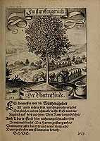  no thumbnail available