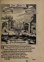  no thumbnail available