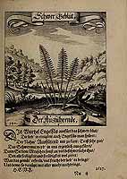  no thumbnail available