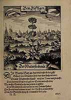  no thumbnail available