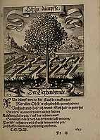  no thumbnail available