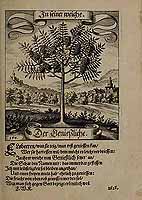  no thumbnail available