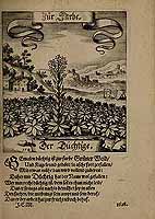  no thumbnail available