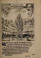  no thumbnail available