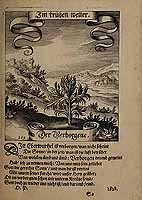  no thumbnail available