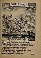  no thumbnail available