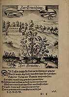  no thumbnail available