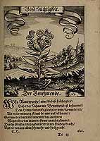  no thumbnail available