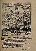  no thumbnail available