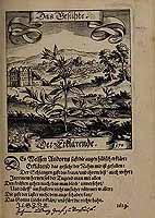  no thumbnail available