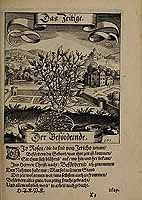  no thumbnail available