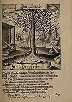  no thumbnail available