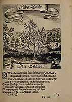  no thumbnail available