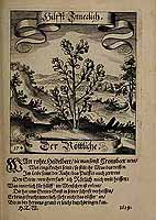  no thumbnail available