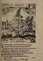  no thumbnail available