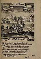  no thumbnail available