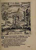  no thumbnail available