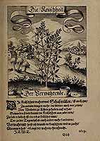  no thumbnail available