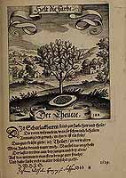  no thumbnail available