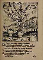  no thumbnail available