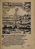  no thumbnail available