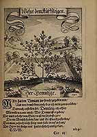  no thumbnail available