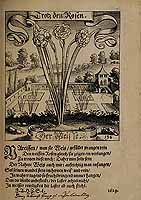  no thumbnail available