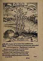  no thumbnail available