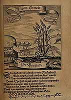  no thumbnail available