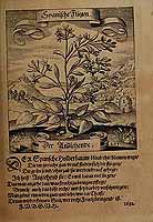  no thumbnail available