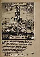  no thumbnail available