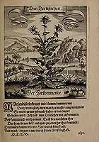  no thumbnail available