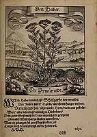  no thumbnail available