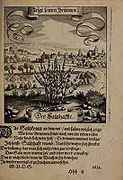  no thumbnail available