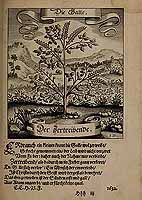  no thumbnail available