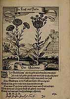  no thumbnail available