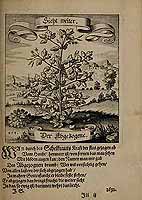  no thumbnail available