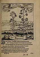  no thumbnail available