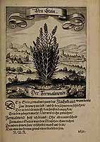  no thumbnail available