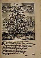  no thumbnail available