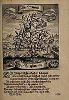  no thumbnail available