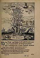  no thumbnail available